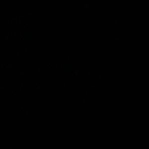 Meet your Posher, Will